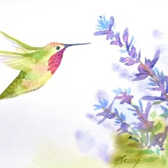 Hummingbird